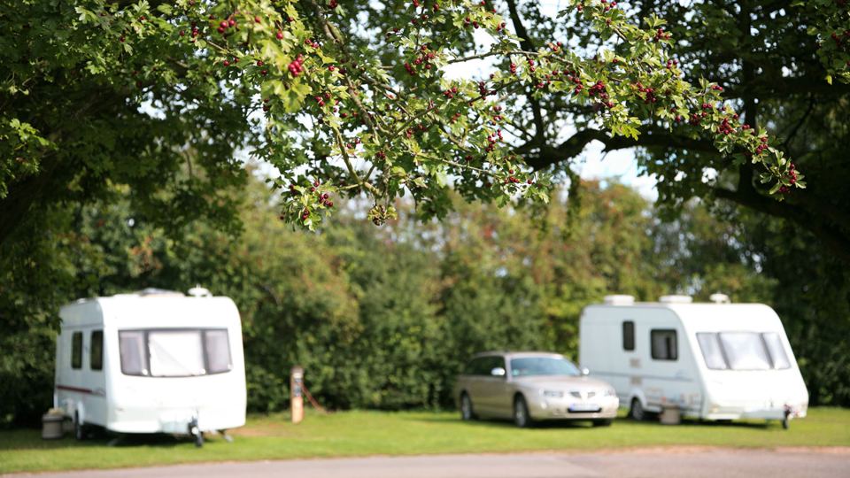 Caravans under hawthorn