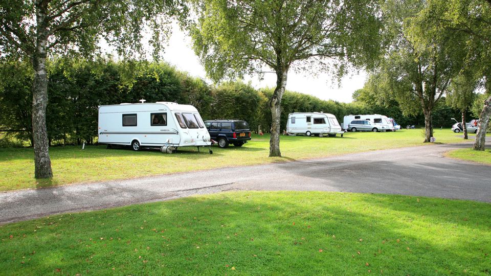 Grass pitches by a hedge