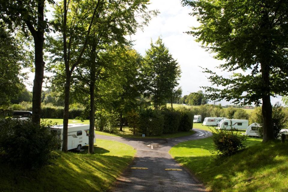 Tree-lined site road