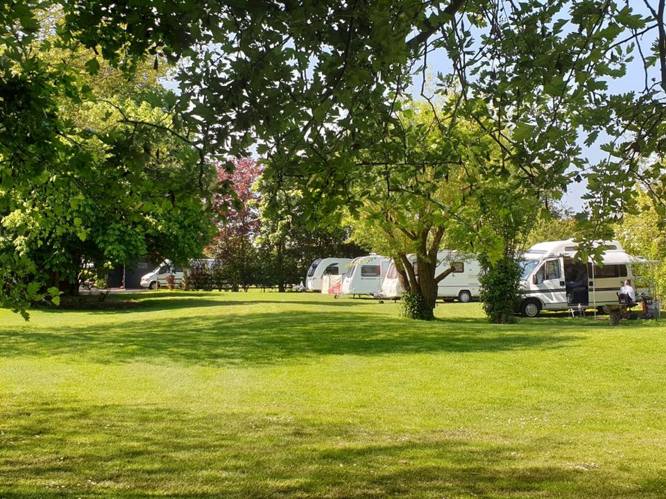Touring field with mature trees
