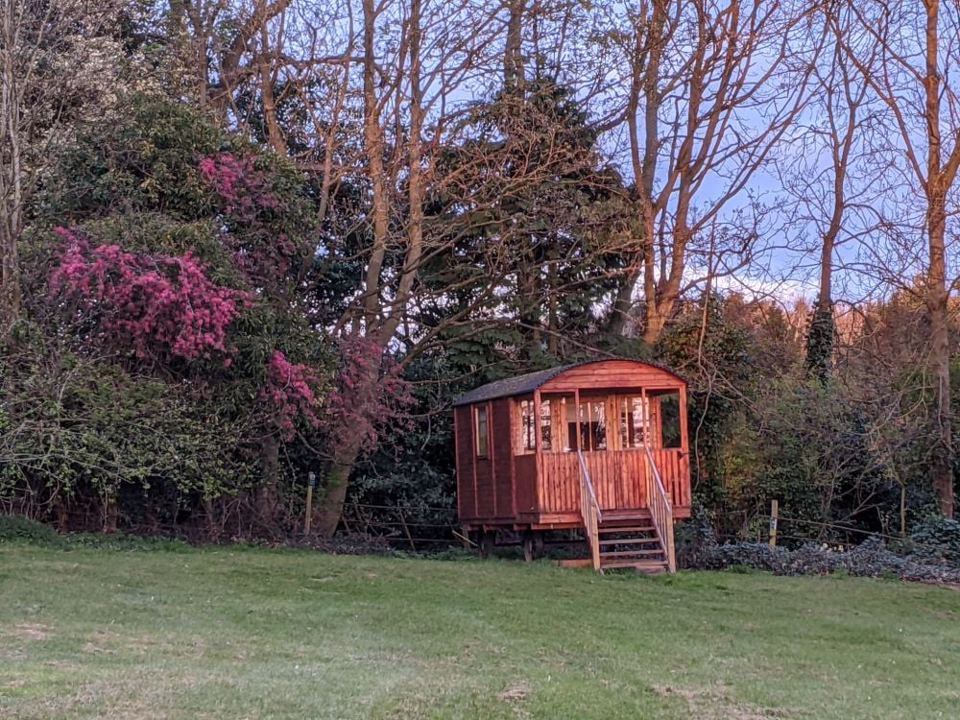 Shepherd hut by the trees