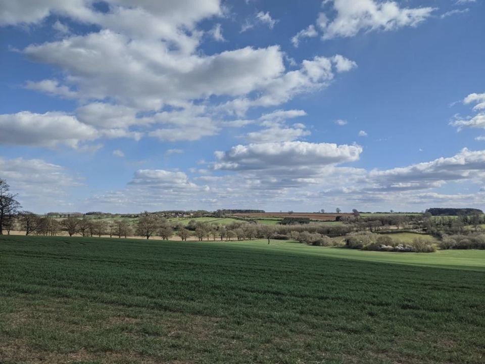 Open fields at Wing Hall