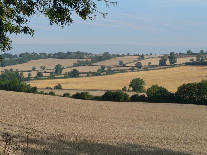 Rutland farmland view
