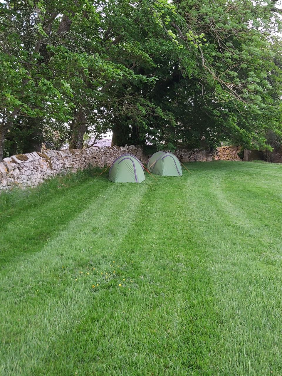 Mown field with tents