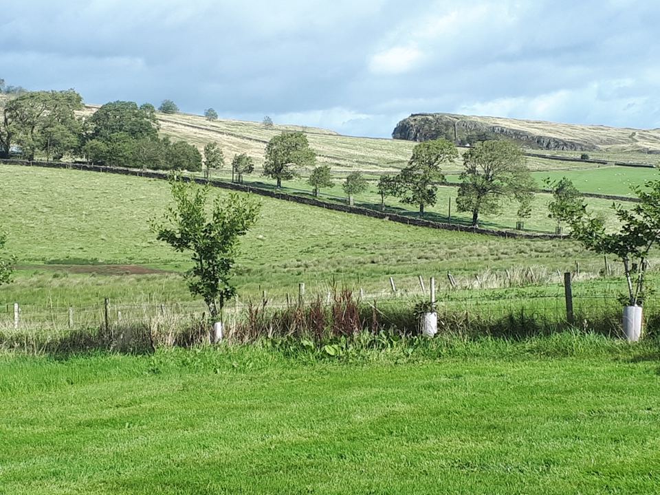 Fields looking towards the crags