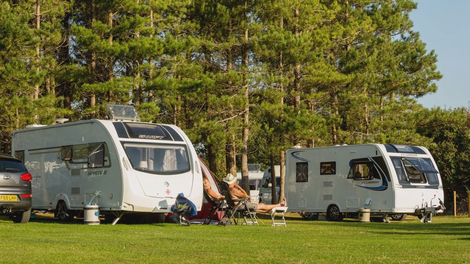 Caravans on grass under pines