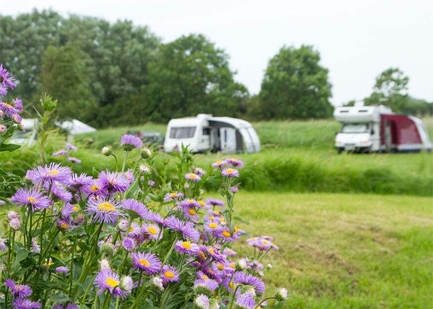 Grass pitches by the lake