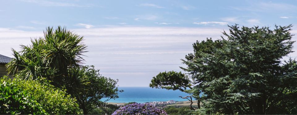 Coast view through trees