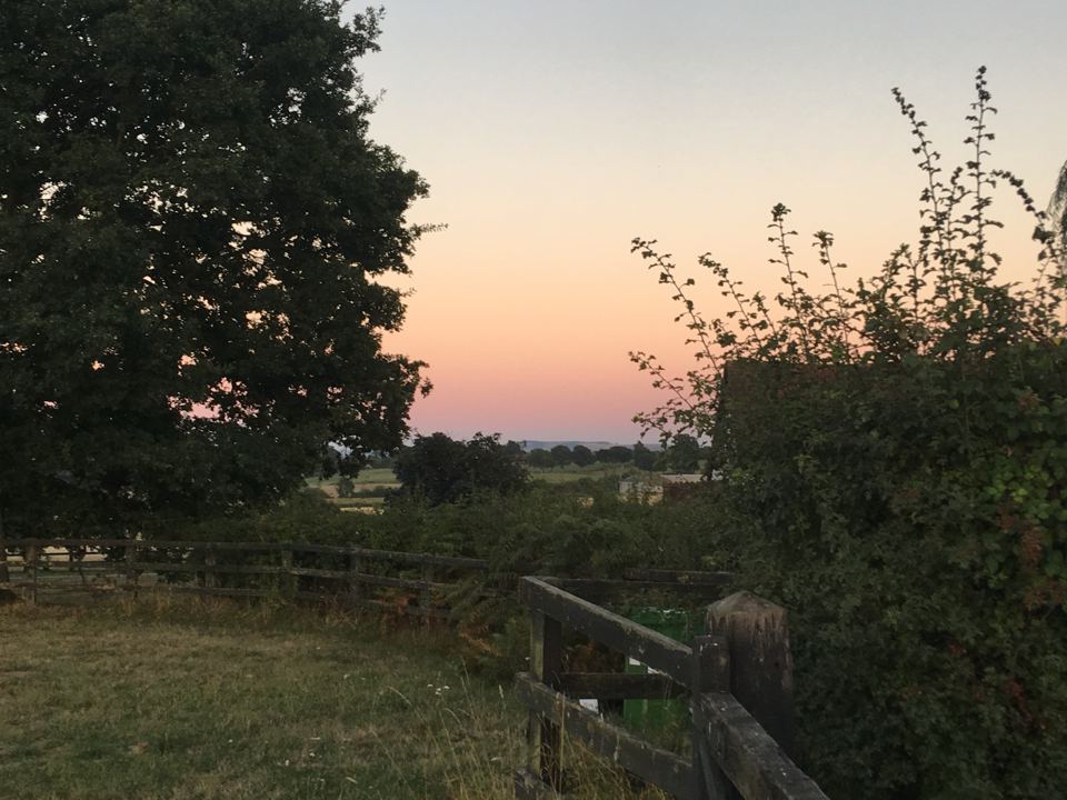 Evening view over the Downs