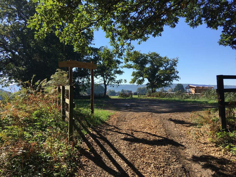 Track into the campsite
