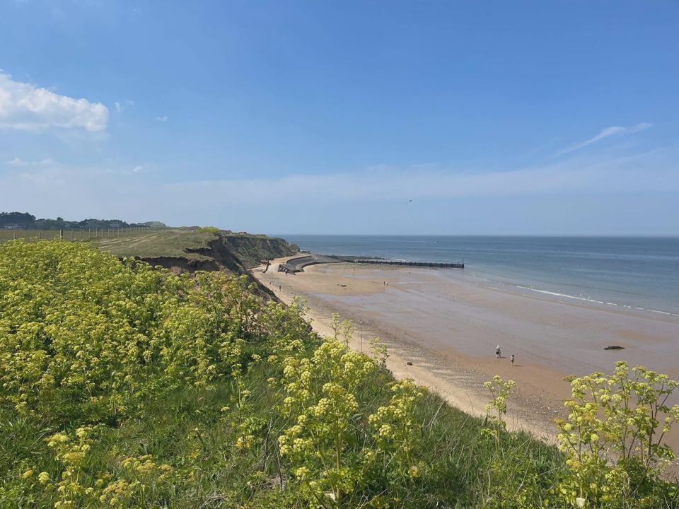 Cliff and beach nearby