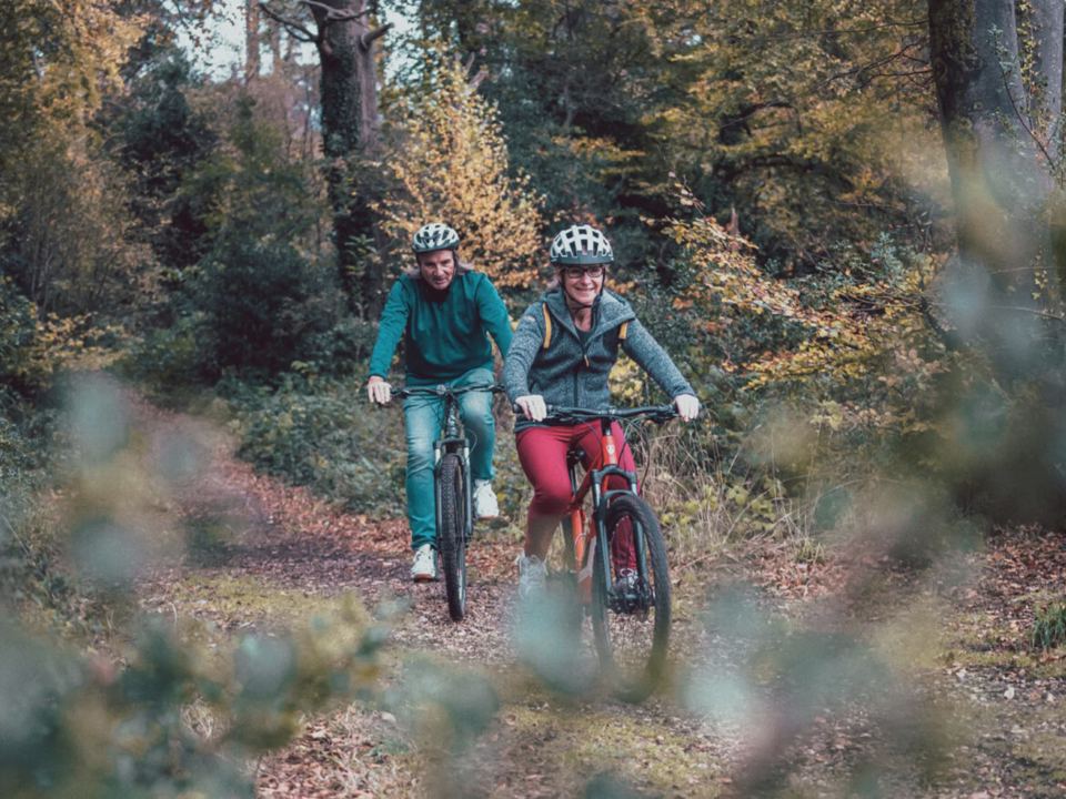 Cycling in woodland