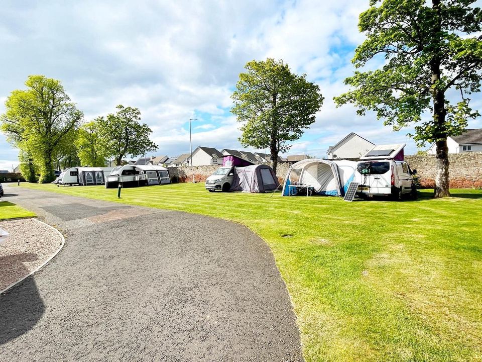 Tents at the edge of the park