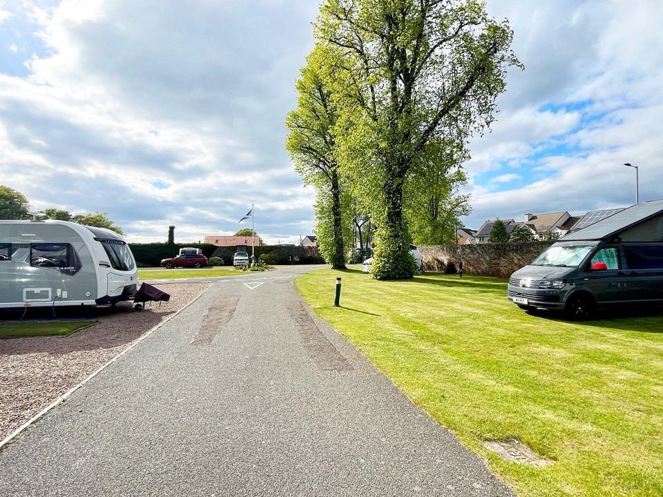 Touring pitches under trees