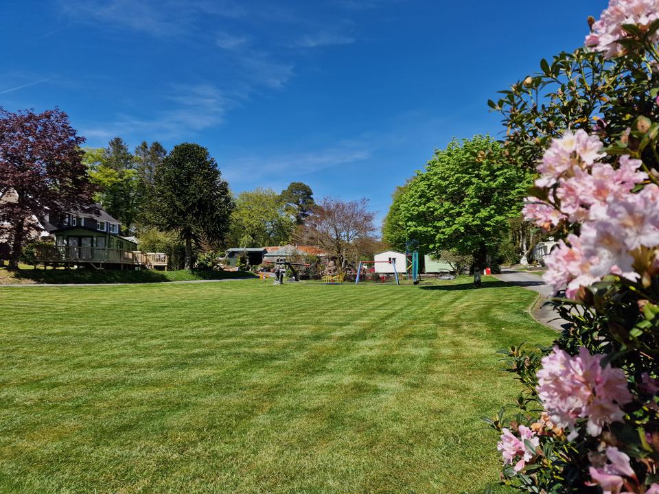 Mown green with blossom