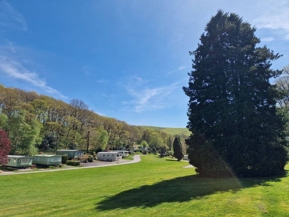 Grass and holiday homes