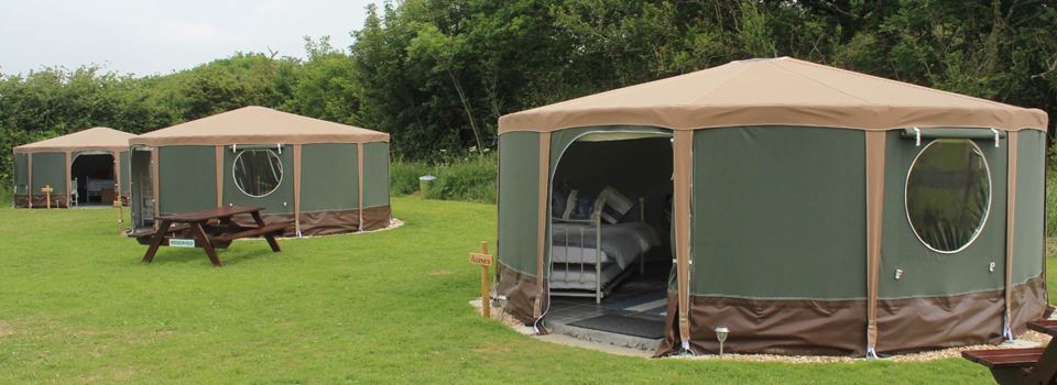 Yurts in the glamping paddock