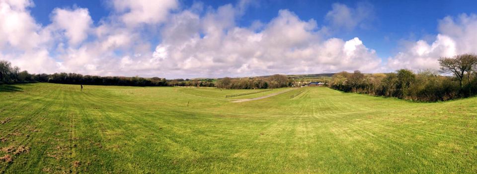 Open grass field