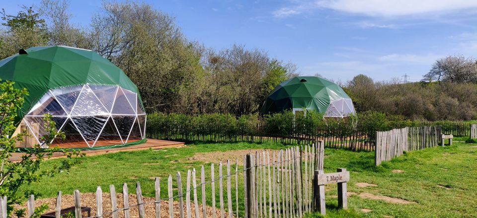 Geodomes in Grassy Field