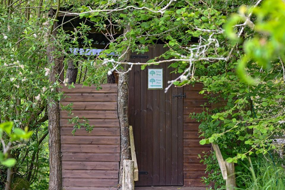 Wooden toilet block in the trees