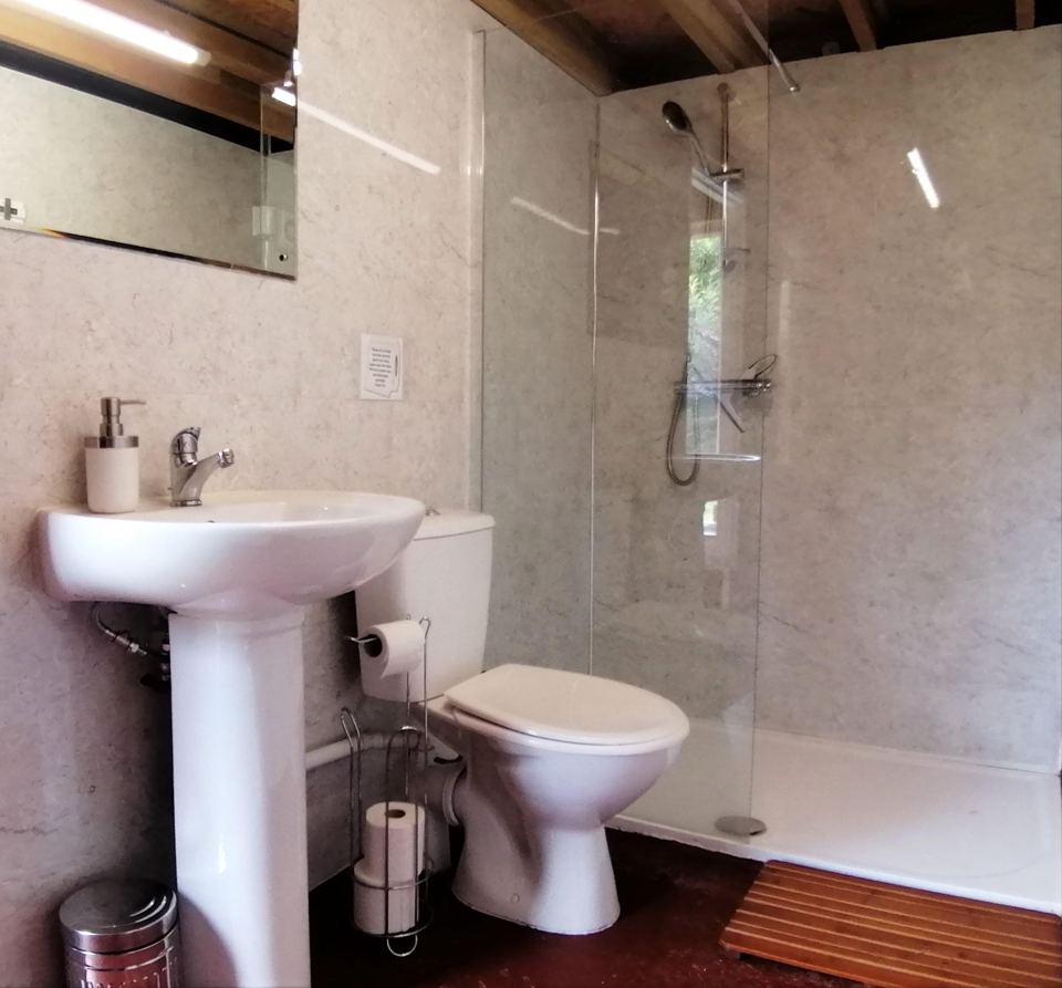 Shower room with basin and toilet