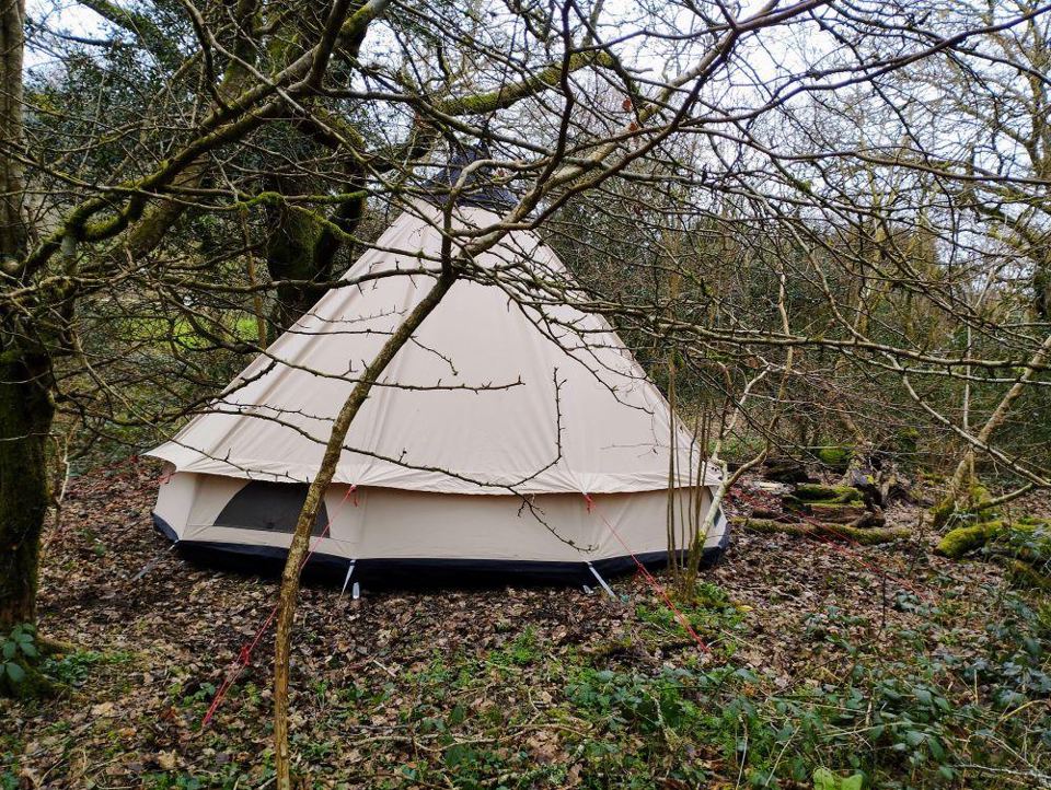 Bell tent among the trees
