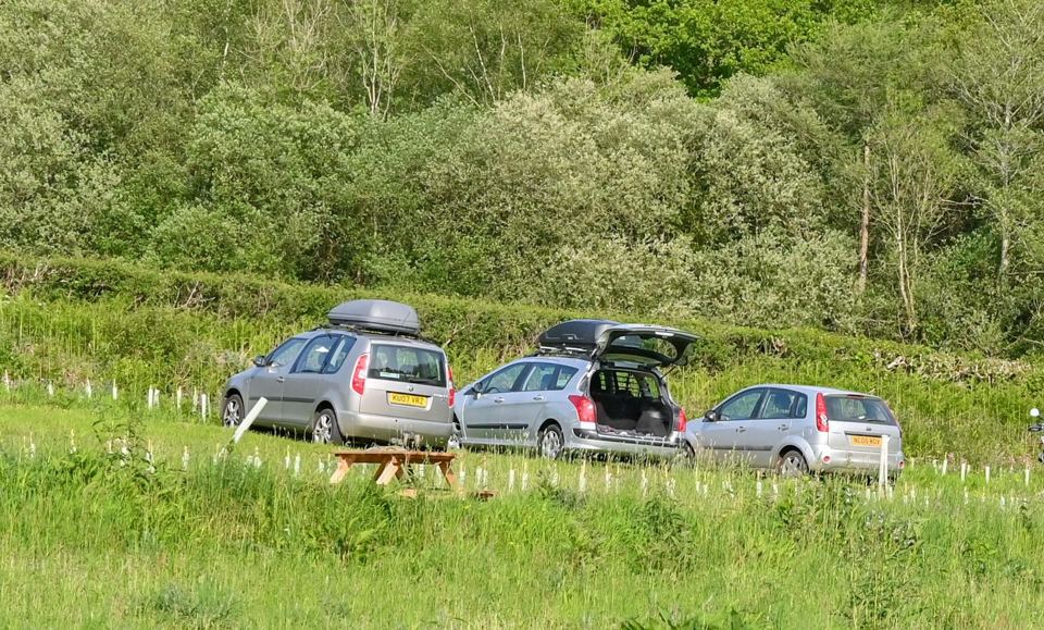 Cars parked by the field fence