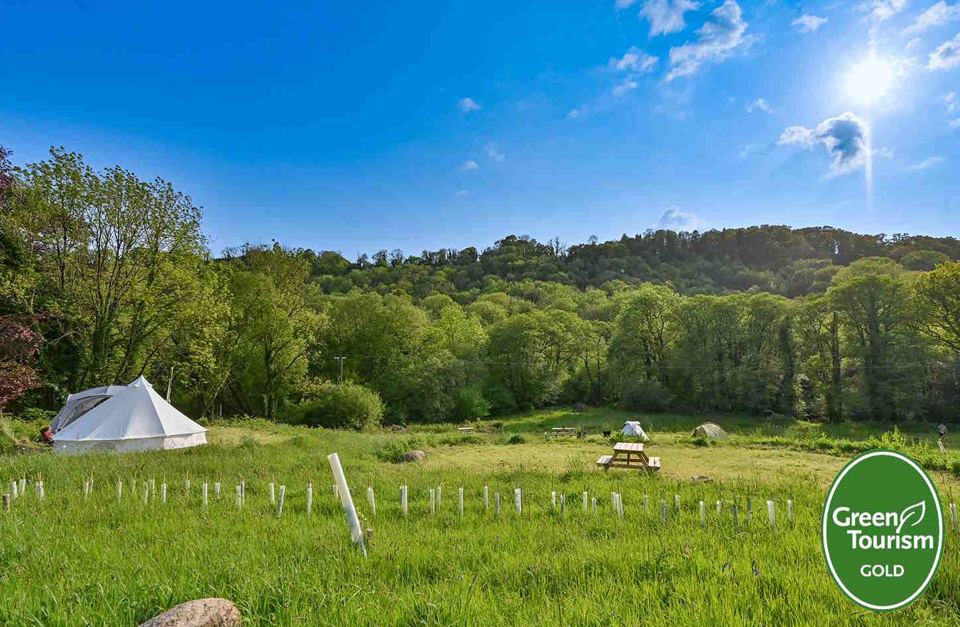 Tent pitched in the meadow