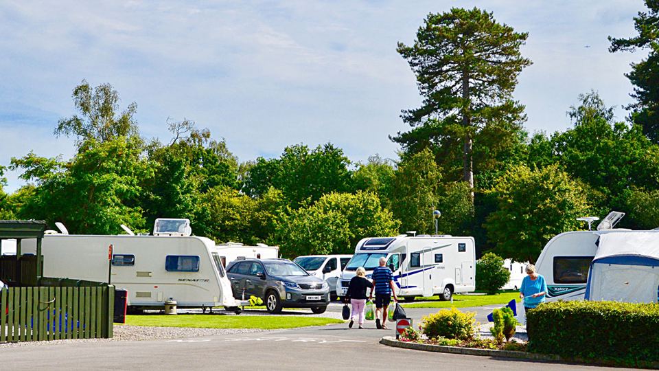 Touring pitches among trees