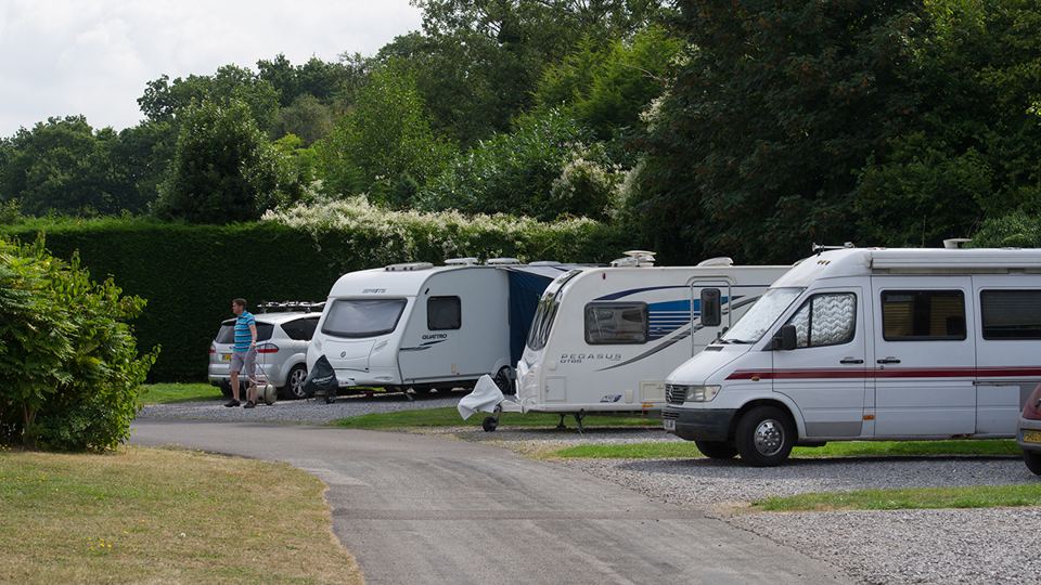 Touring pitches beside hedge