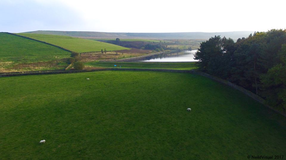 Grass field above the reservoir