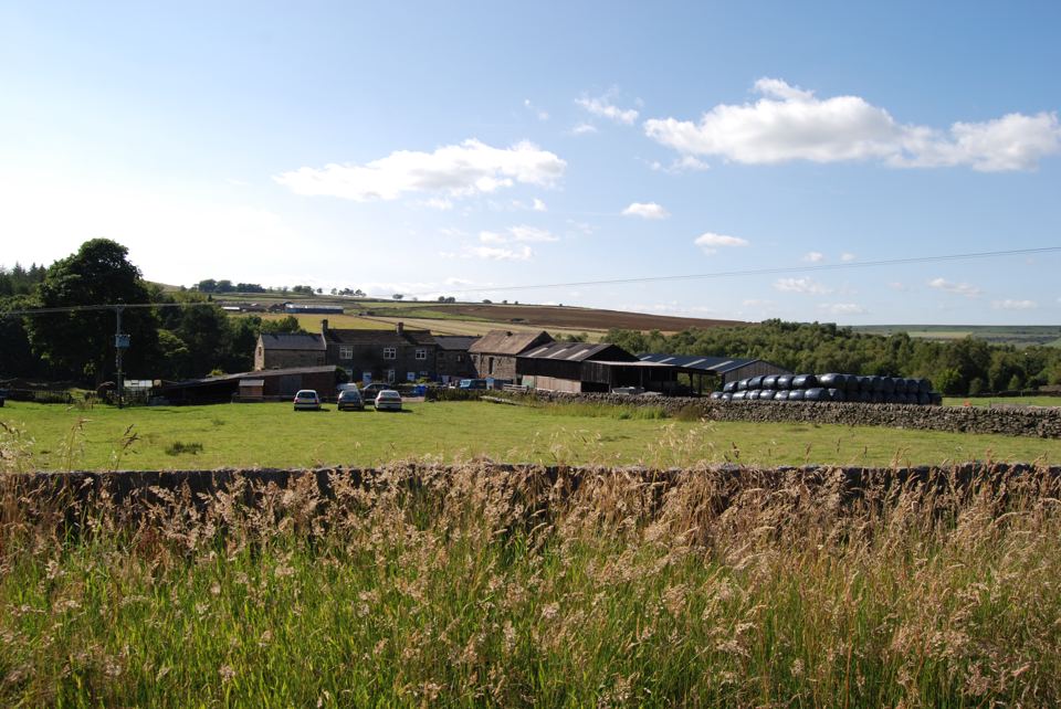 Camping field and farm buildings