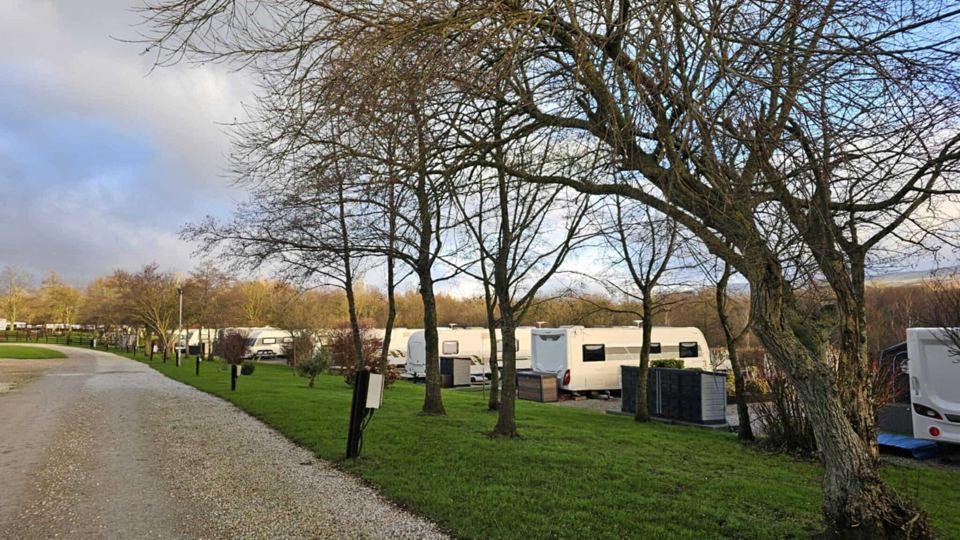 Touring pitches under trees