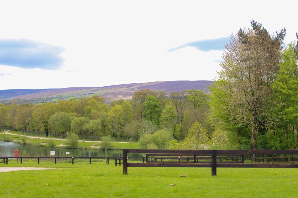 Fells beyond the lake