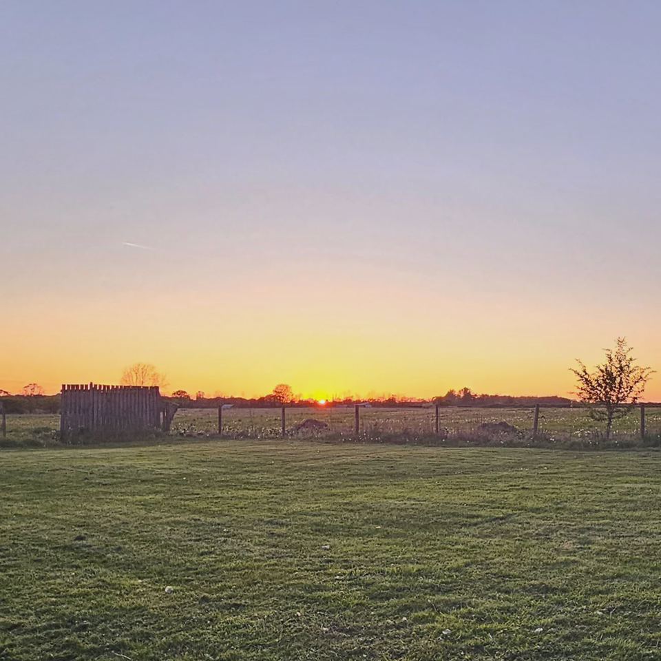 Back camping field at sunset