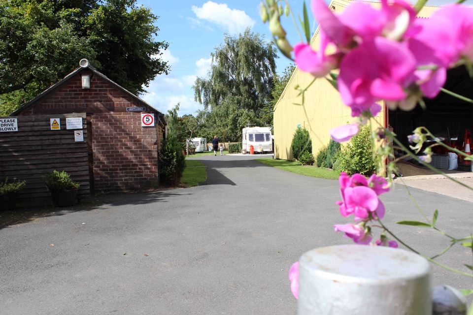 Farm lane through the site