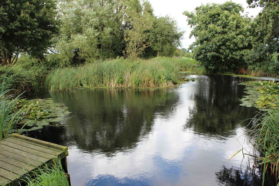 Fishing pond