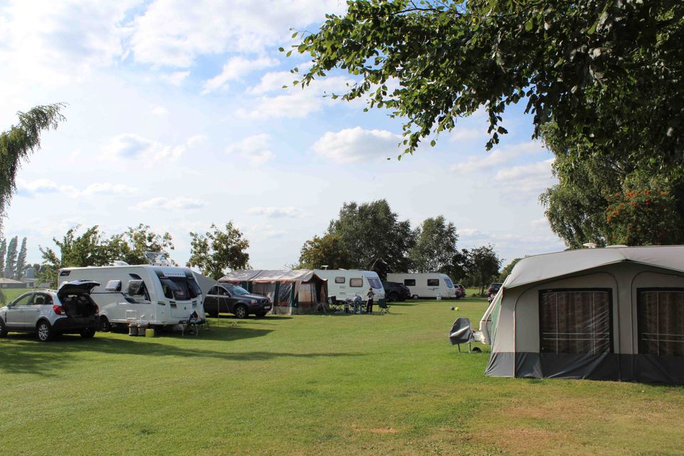Pitches under the trees