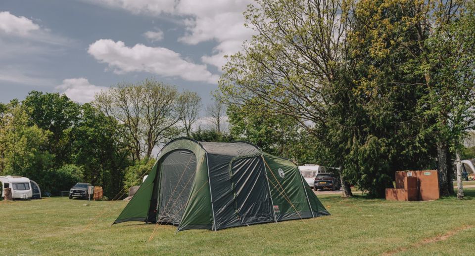 Tent pitched beside the trees