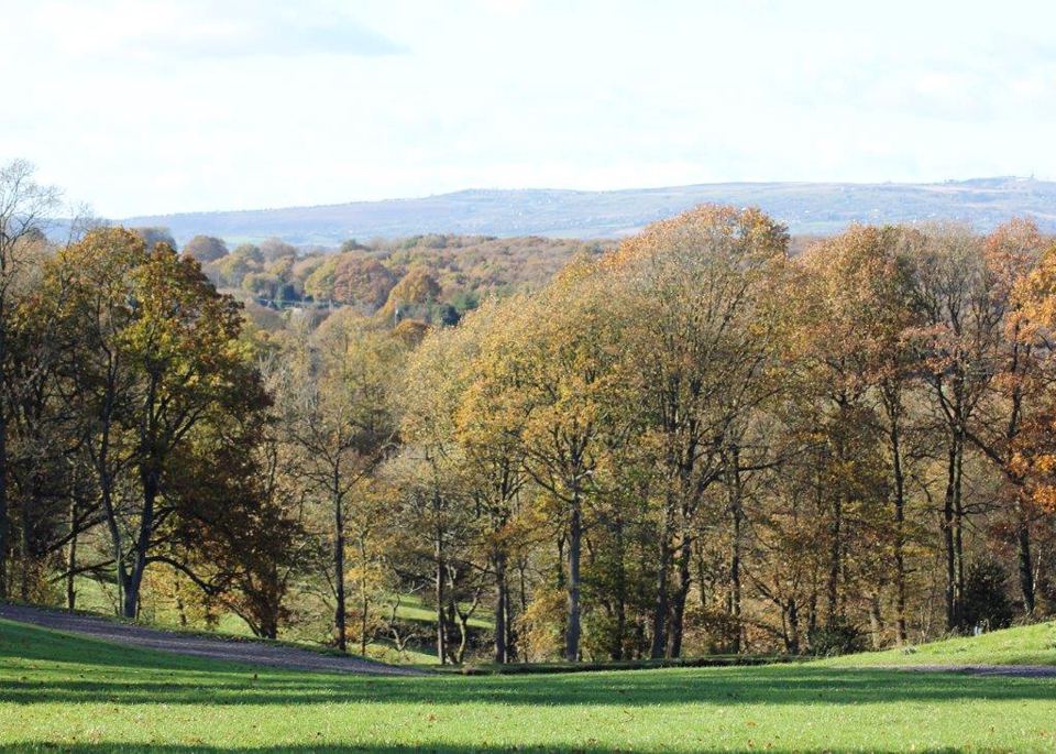 Wooded valley view