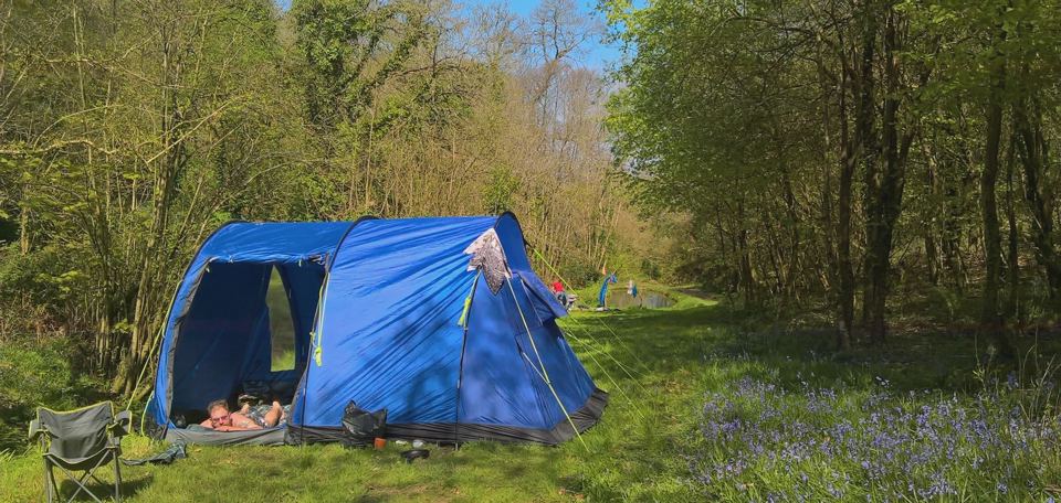 Blue tent in the woodland