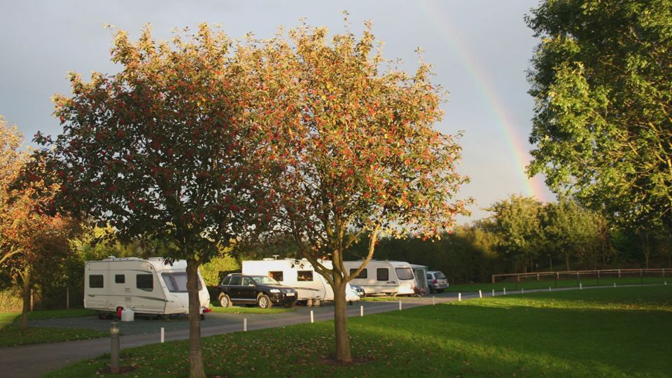 Caravans on grass by trees