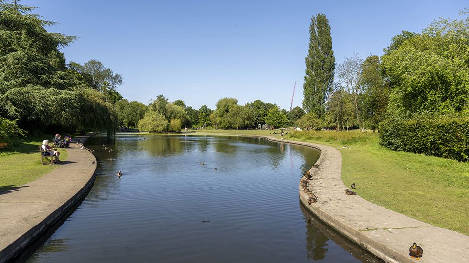 Pond in Rowntree Park