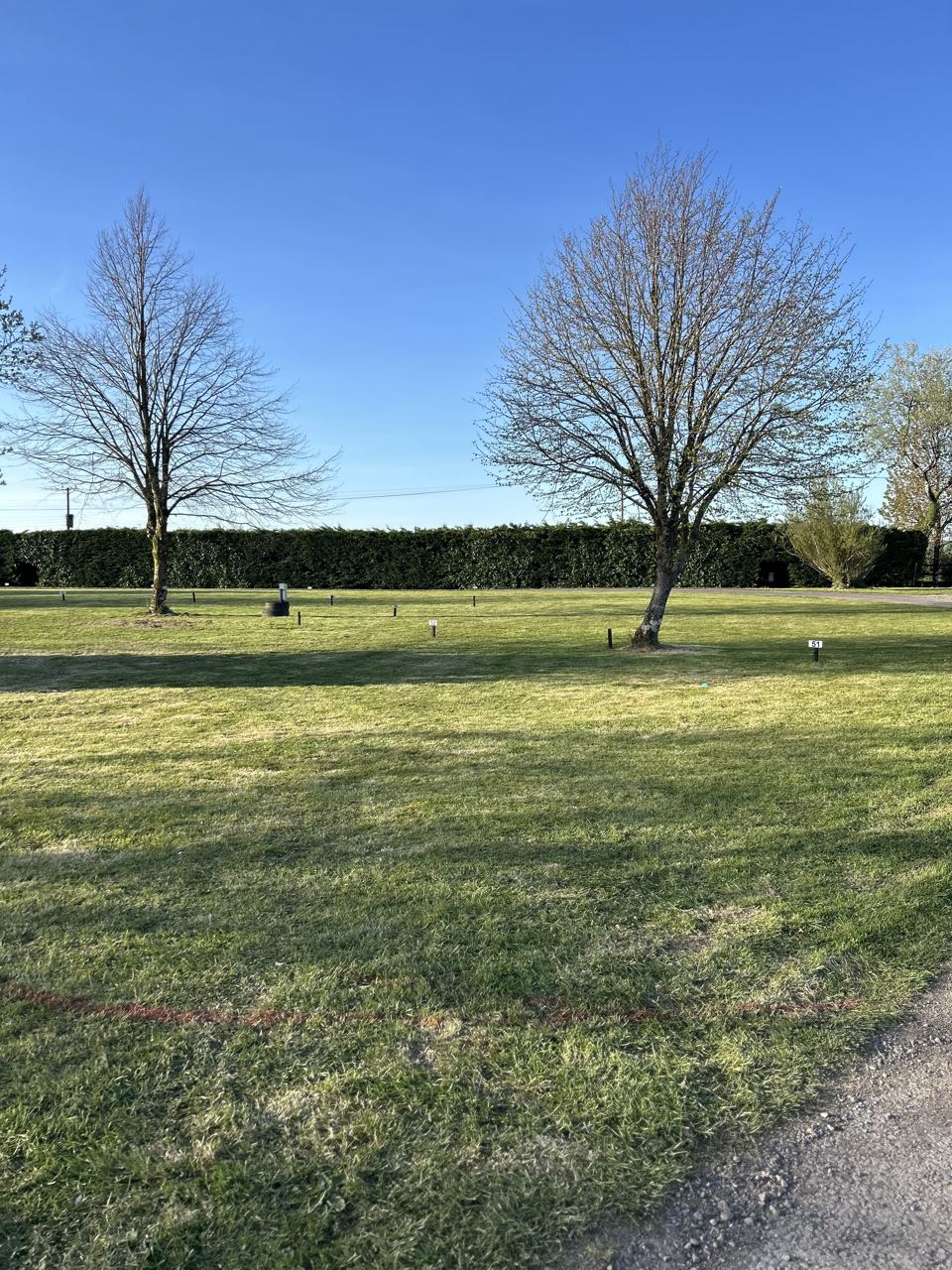 Grass pitches and trees